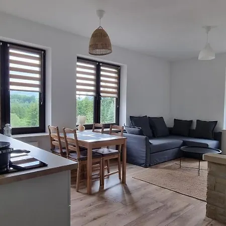 Hotel ŁOMIANKOWA DOLINA Wetlina 112 Zewnętrze zdjęcie