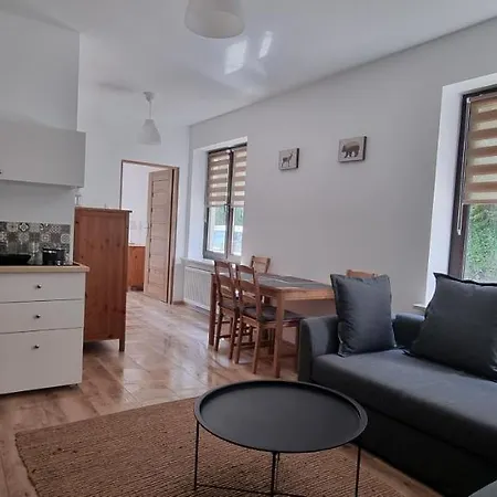 Hotel ŁOMIANKOWA DOLINA Wetlina 112 Zewnętrze zdjęcie