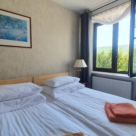 Hotel ŁOMIANKOWA DOLINA Wetlina 112 Zewnętrze zdjęcie