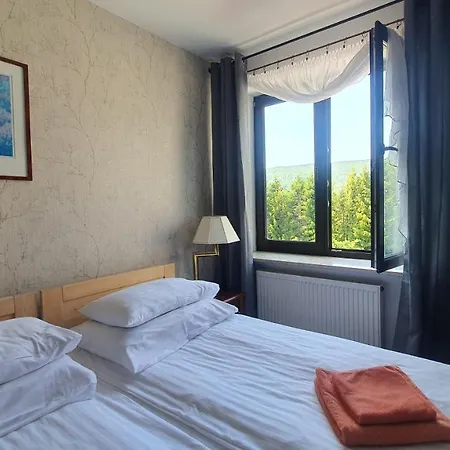Hotel ŁOMIANKOWA DOLINA Wetlina 112 Zewnętrze zdjęcie