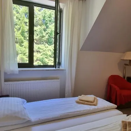 Hotel ŁOMIANKOWA DOLINA Wetlina 112 Zewnętrze zdjęcie