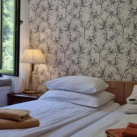 Hotel ŁOMIANKOWA DOLINA Wetlina 112 Zewnętrze zdjęcie